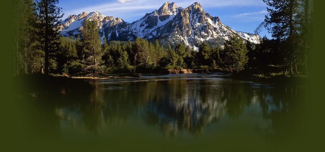 Green Mountain Banner
